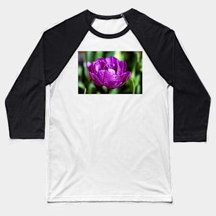 Dewdrops on a purple tulip Baseball T-Shirt